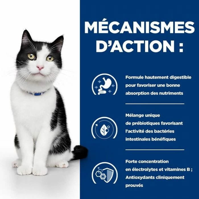 Hill's Prescription Diet Hill's Prescription Diet Feline Digestive Care I/D AB+ Allo Spezzatino Pollo E Verdure 24 X 82 Grs 6 Hill's Prescription Diet Hill's Prescription Diet Feline Digestive Care I/D AB+ Allo Spezzatino Pollo E Verdure 24 X 82 Grs - immagine 6