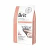 Brit Veterinary Grain Free Brit Vet Diet Cat Renal Grain Free 5 Kg