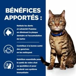Hill's Prescription Diet Hill's Prescription Diet Feline T/D 3 Kg 7 Hill's Prescription Diet Hill's Prescription Diet Feline T/D 3 Kg -Alimentazione Gatto negozio 52742041995 3 prescription diet chat t d croquettes poulet 1 1