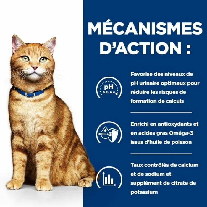Hill's Prescription Diet Hill's Prescription Diet Feline C/D Multicare 3 Kg 4 Hill's Prescription Diet Hill's Prescription Diet Feline C/D Multicare 3 Kg - immagine 4
