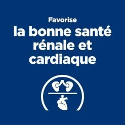 Hill's Prescription Diet Hill's Prescription Diet Feline Y/D 1.5 Kg 8 Hill's Prescription Diet Hill's Prescription Diet Feline Y/D 1.5 Kg -Alimentazione Gatto negozio 52742042503 2 prescription diet chat y d croquettes poulet 2