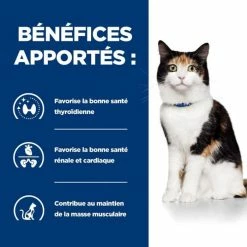 Hill's Prescription Diet Hill's Prescription Diet Feline Y/D 3 Kg -Alimentazione Gatto negozio 52742042503 4 prescription diet chat y d croquettes poulet 1 1