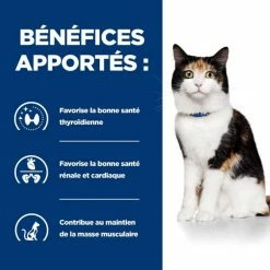 Hill's Prescription Diet Hill's Prescription Diet Feline Y/D 1.5 Kg 9 Hill's Prescription Diet Hill's Prescription Diet Feline Y/D 1.5 Kg -Alimentazione Gatto negozio 52742042503 4 prescription diet chat y d croquettes poulet 2