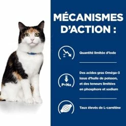 Hill's Prescription Diet Hill's Prescription Diet Feline Y/D 3 Kg -Alimentazione Gatto negozio 52742042503 5 prescription diet chat y d croquettes poulet 1 1