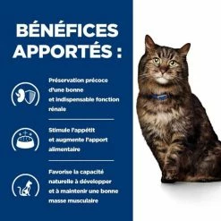 Hill's Prescription Diet Hill's Prescription Diet Feline K/D Early Stage 3 Kg -Alimentazione Gatto negozio 52742043630 4 prescription diet chat k d early stage croquettes poulet 1 1