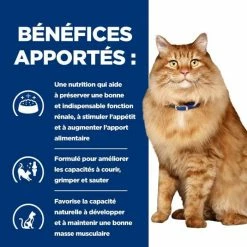 Hill's Prescription Diet Hill's Prescription Diet Feline K/D + Mobility 12 X 85 G -Alimentazione Gatto negozio 52742044767 4 prescription diet chat k d mobility croquettes poulet