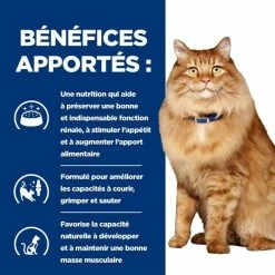 Hill's Prescription Diet Hill's Prescription Diet Feline K/D + Mobility 1.5 Kg 7 Hill's Prescription Diet Hill's Prescription Diet Feline K/D + Mobility 1.5 Kg -Alimentazione Gatto negozio 52742044767 4 prescription diet chat k d mobility croquettes poulet 2 1