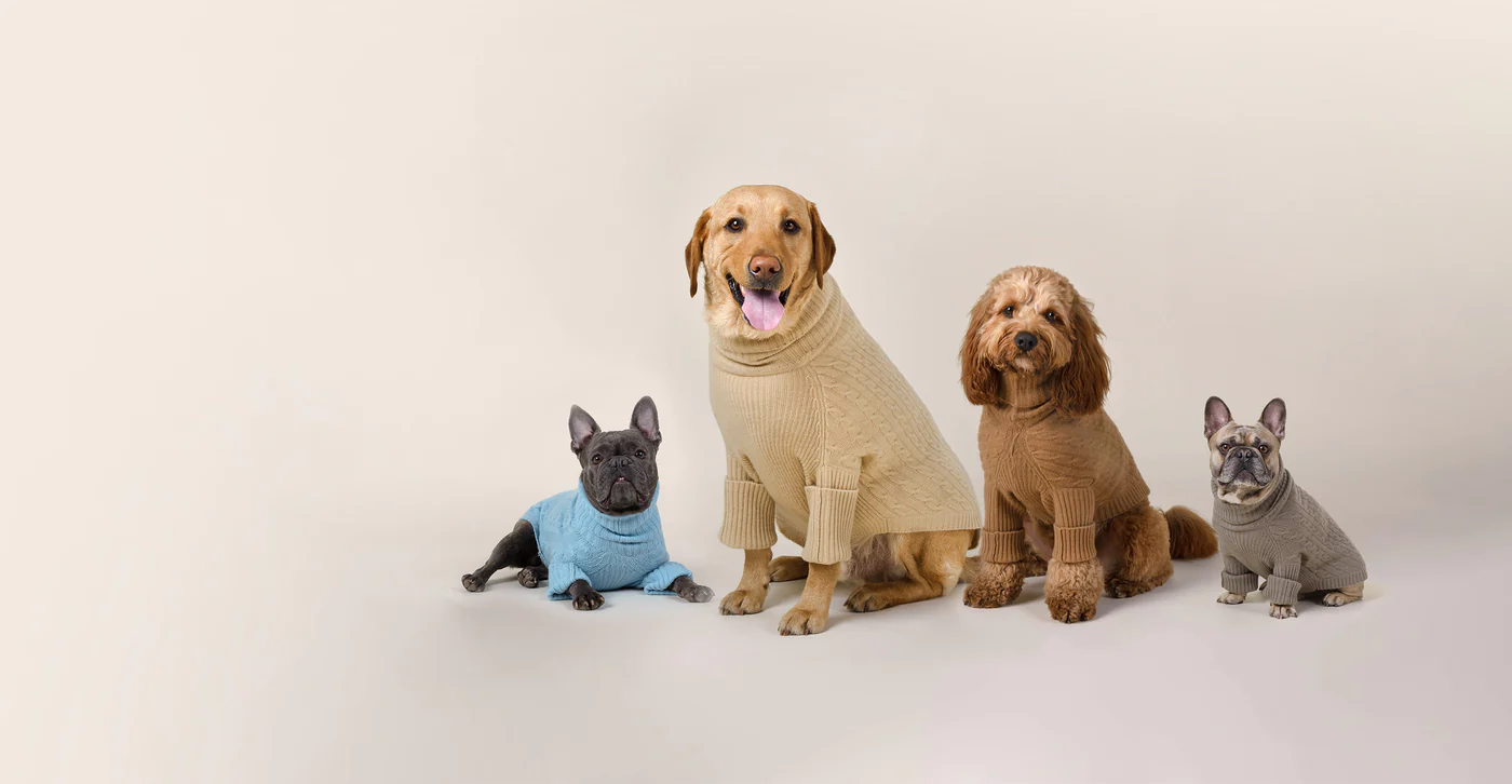 Alimentazione Gatto negozio -Alimentazione Gatto negozio