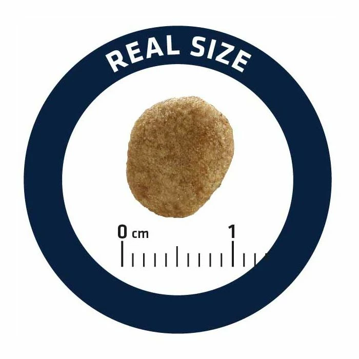 Advance Veterinary Diets Gatto Weight Balance 8 Kg 2 Advance Veterinary Diets Gatto Weight Balance 8 Kg - immagine 2