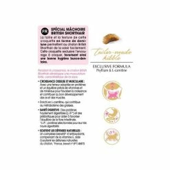 Royal Canin Breed Health Nutrition Royal Canin British Shorthair Kitten 2 Kg 11 Royal Canin Breed Health Nutrition Royal Canin British Shorthair Kitten 2 Kg -Alimentazione Gatto negozio bs kit information