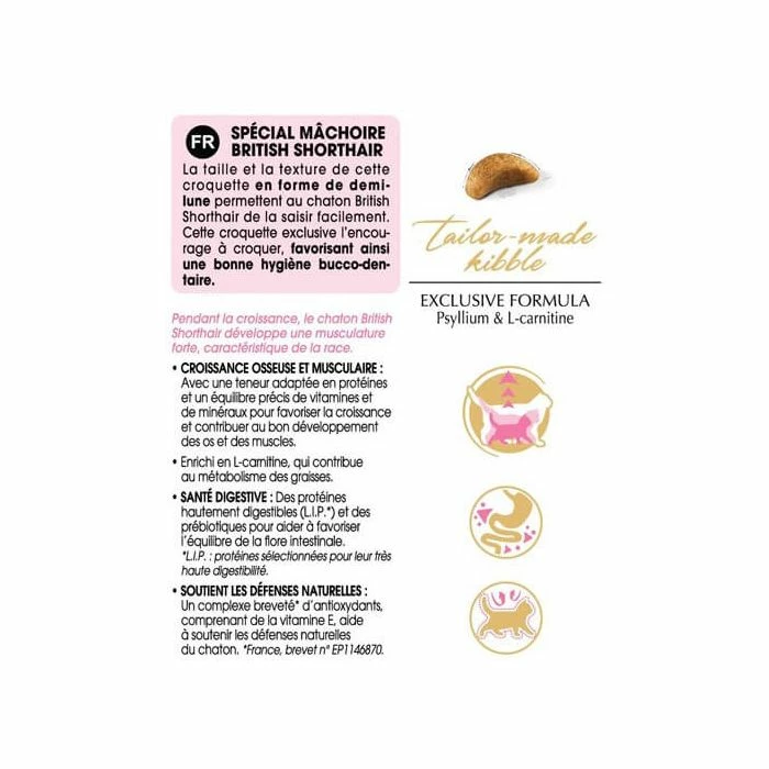 Royal Canin Breed Health Nutrition Royal Canin British Shorthair Kitten 2 Kg 5 Royal Canin Breed Health Nutrition Royal Canin British Shorthair Kitten 2 Kg - immagine 5