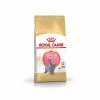 Royal Canin Breed Health Nutrition Royal Canin British Shorthair Kitten 2 Kg