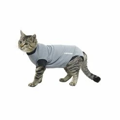 Buster Body Suit Gatto S