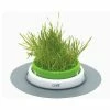 Cat-it Cat It Senses Grass Planter - Vaso Per Erba Gatta