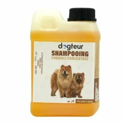 Dogteur Care Shampoo PRO Dogteur Pelame Rosso 10 L -Alimentazione Gatto negozio dogteur shampoing pro pelage roux 10 l