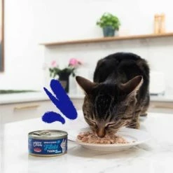 Edgard & Cooper Edgard & Cooper Tonno Gatto 24 X 70 G 4 Edgard & Cooper Edgard & Cooper Tonno Gatto 24 X 70 G -Alimentazione Gatto negozio edgard cooper thon chat 24 x 70 g 2