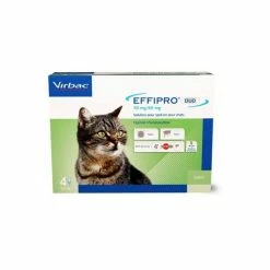 Effipro Duo Gatto 24 Pipette