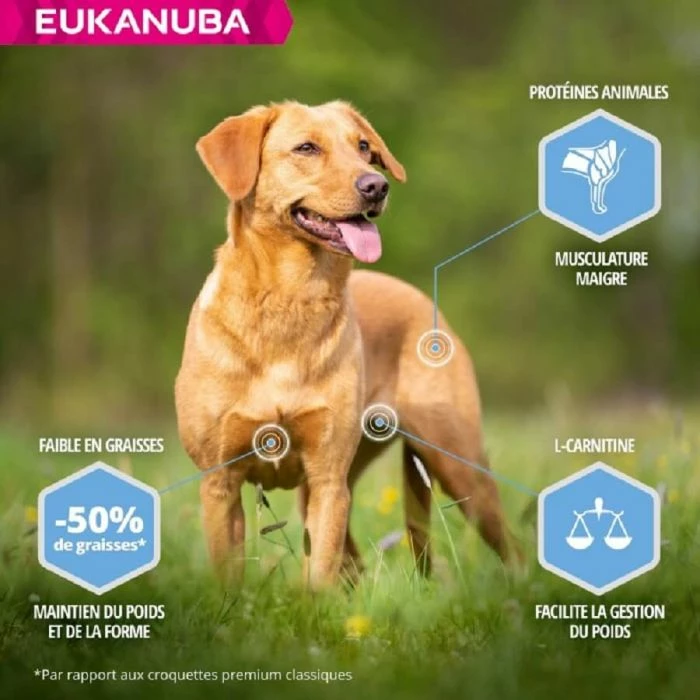 Eukanuba Daily Care Eukanuba Cane Daily Care Adult Overweight Taglia Piccola & Media Al Pollo 2.3 Kg 2 Eukanuba Daily Care Eukanuba Cane Daily Care Adult Overweight Taglia Piccola & Media Al Pollo 2.3 Kg - immagine 2