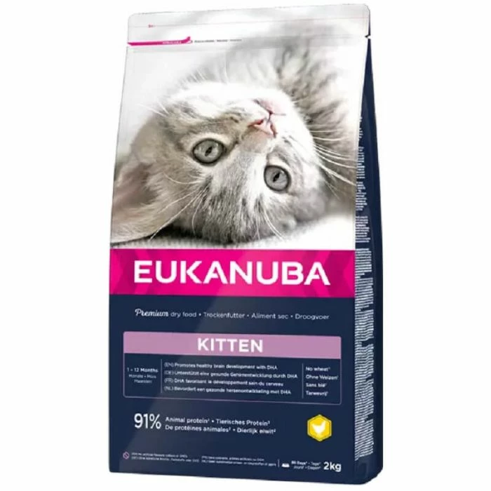 Eukanuba Healthy Start Kitten 2 Kg 2 Eukanuba Healthy Start Kitten 2 Kg - immagine 2