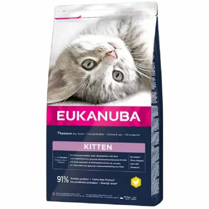 Eukanuba Healthy Start Kitten 10 Kg 1 Eukanuba Healthy Start Kitten 10 Kg