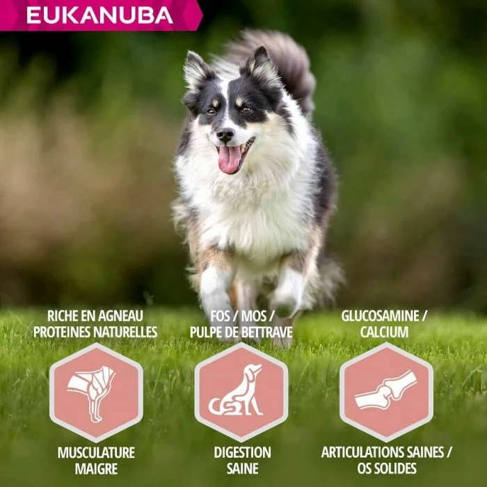 Eukanuba Mature & Senior Agnello 2.5 Kg 5 Eukanuba Mature & Senior Agnello 2.5 Kg - immagine 5