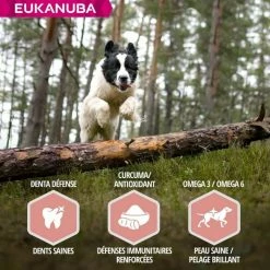 Eukanuba Mature & Senior Agnello 2.5 Kg 12 Eukanuba Mature & Senior Agnello 2.5 Kg -Alimentazione Gatto negozio eukanuba chien senior grande race agneau riz 6