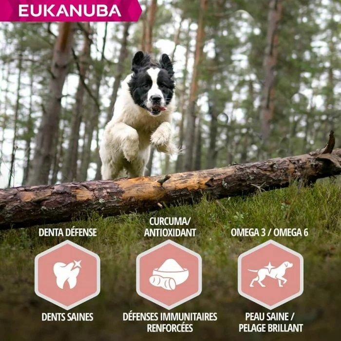 Eukanuba Mature & Senior Agnello 2.5 Kg 6 Eukanuba Mature & Senior Agnello 2.5 Kg - immagine 6