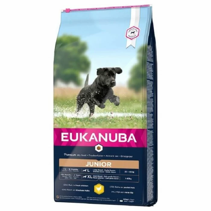 Eukanuba Developing Junior Large Breed Con Pollo Per Cane 12 Kg 1 Eukanuba Developing Junior Large Breed Con Pollo Per Cane 12 Kg