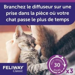Feliway Classic Feliway Diffusore + Ricarica 48ml (30 Giorni) 17 Feliway Classic Feliway Diffusore + Ricarica 48ml (30 Giorni) -Alimentazione Gatto negozio feliway classic diffuseur recharge 48ml 30 jours 10