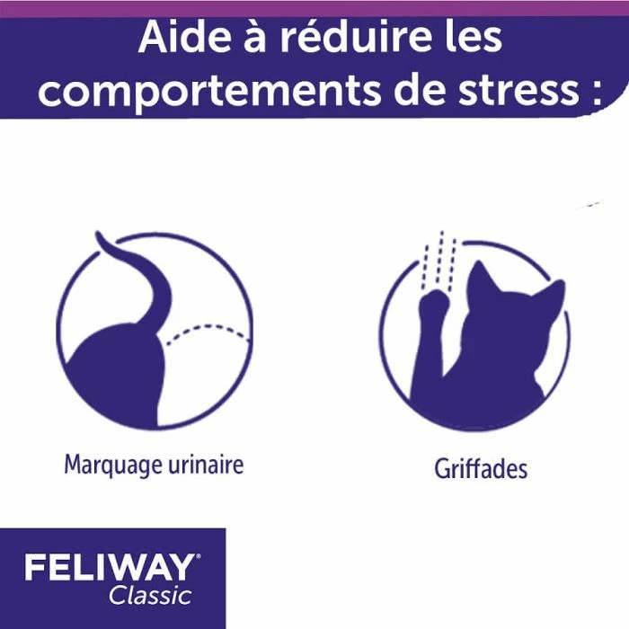 Feliway Classic Feliway Spray 60 Ml 6 Feliway Classic Feliway Spray 60 Ml - immagine 6