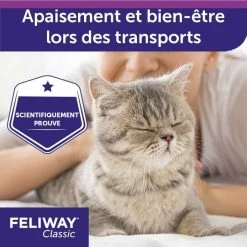 Feliway Classic Feliway Spray Da Viaggio 20 Ml -Alimentazione Gatto negozio feliway classic spray de voyage 20 ml 4