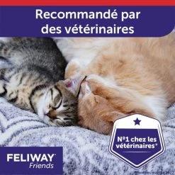 Feliway Friends Diffusore + Ricarica 48 Ml -Alimentazione Gatto negozio feliway friends diffuseur recharge 48 ml 6