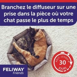Feliway Friends Diffusore + Ricarica 48 Ml -Alimentazione Gatto negozio feliway friends diffuseur recharge 48 ml 7
