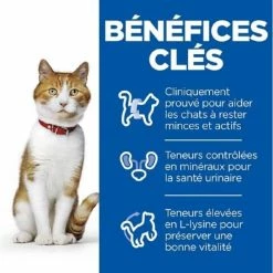 Hill's Science Plan Hill's Science Plan Feline Adult Sterilised Cat Al Pollo 1,5 Kg 7 Hill's Science Plan Hill's Science Plan Feline Adult Sterilised Cat Al Pollo 1,5 Kg -Alimentazione Gatto negozio hill s science plan chat young adult sterilise poulet 1 5 kg 2