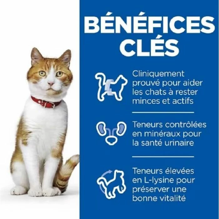 Hill's Science Plan Hill's Science Plan Feline Adult Sterilised Cat Al Tonno 10 Kg 3 Hill's Science Plan Hill's Science Plan Feline Adult Sterilised Cat Al Tonno 10 Kg - immagine 3