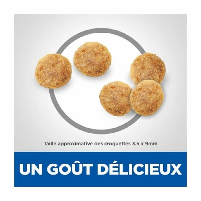 Hill's Science Plan Hill's Science Plan Feline Mature Pollo 10 Kg 2 Hill's Science Plan Hill's Science Plan Feline Mature Pollo 10 Kg - immagine 2