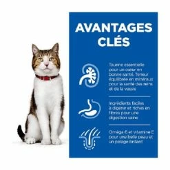 Hill's Science Plan Hill's Science Plan Feline Mature Pollo 10 Kg 5 Hill's Science Plan Hill's Science Plan Feline Mature Pollo 10 Kg -Alimentazione Gatto negozio hill s science plan feline mature poulet 10 kg 3