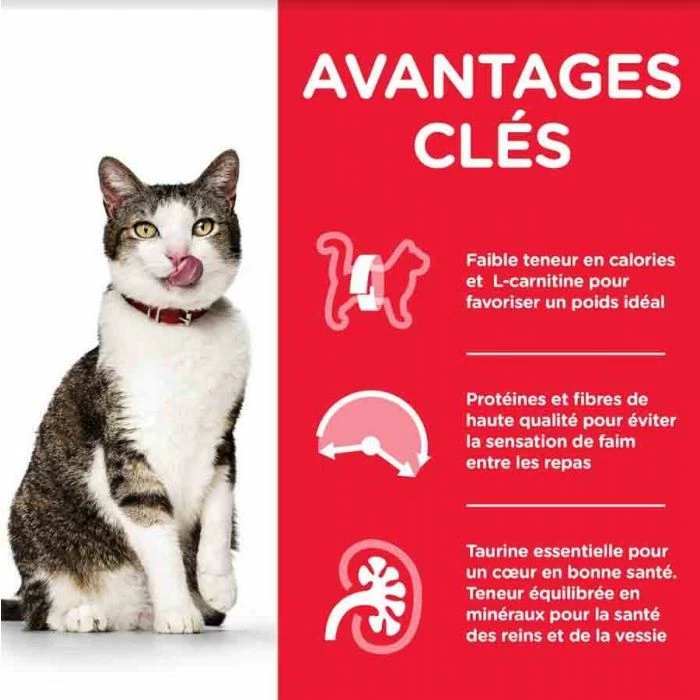 Hill's Science Plan Hill's Science Plan Feline Mature Adult 7+ Light Pollo 7 Kg 3 Hill's Science Plan Hill's Science Plan Feline Mature Adult 7+ Light Pollo 7 Kg - immagine 3