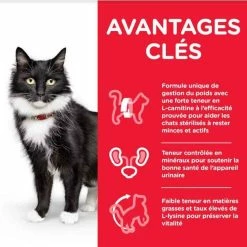 Hill's Science Plan Hill's Science Plan Feline Mature Adult 7+ Sterilised Cat Pollo 3 Kg 6 Hill's Science Plan Hill's Science Plan Feline Mature Adult 7+ Sterilised Cat Pollo 3 Kg -Alimentazione Gatto negozio hill s science plan feline mature adult 7 sterilised cat poulet 3 kg4
