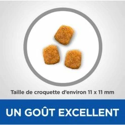 Hill's Vetessentials Hill's VetEssentials Feline Mature Dental Health Pollo 2,5 Kg -Alimentazione Gatto negozio hill s vetessentials feline mature dental health poulet 2 5 kg2