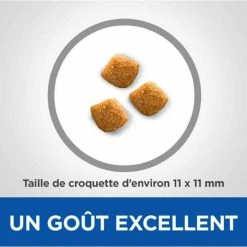 Hill's Vetessentials Hill's VetEssentials Feline Young Adult Dental Health Pollo 10 Kg -Alimentazione Gatto negozio hill s vetessentials feline young adult dental health poulet 10 kg2