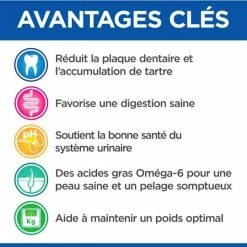 Hill's Vetessentials Hill's VetEssentials Feline Young Adult Dental Health Pollo 10 Kg -Alimentazione Gatto negozio hill s vetessentials feline young adult dental health poulet 10 kg3