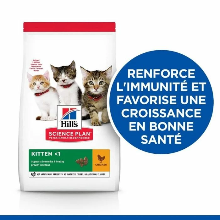 Hill's Science Plan Hill's Science Plan Feline Kitten Al Pollo 7 Kg 2 Hill's Science Plan Hill's Science Plan Feline Kitten Al Pollo 7 Kg - immagine 2