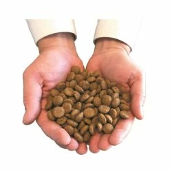 Felichef Crocchette BIO Gatto Adulto Al Pollame 5 Kg -Alimentazione Gatto negozio main avec croquettes 3 11