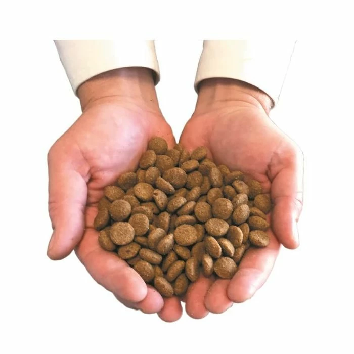 Felichef Crocchette BIO Senza Cereali, Senza Gluten Gatto Sterilizzato 5 Kg 3 Felichef Crocchette BIO Senza Cereali, Senza Gluten Gatto Sterilizzato 5 Kg - immagine 3