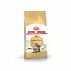 Royal Canin Breed Health Nutrition Royal Canin Maine Coon Adult 2 Kg