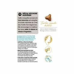 Royal Canin Breed Health Nutrition Royal Canin Norwegian Forest Cat Adult 2 Kg -Alimentazione Gatto negozio norv ad information