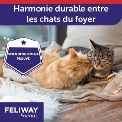 Feliway Friends Ricarica 48 Ml X3 -Alimentazione Gatto negozio pack feliway friends recharge 3 x 48 ml 4