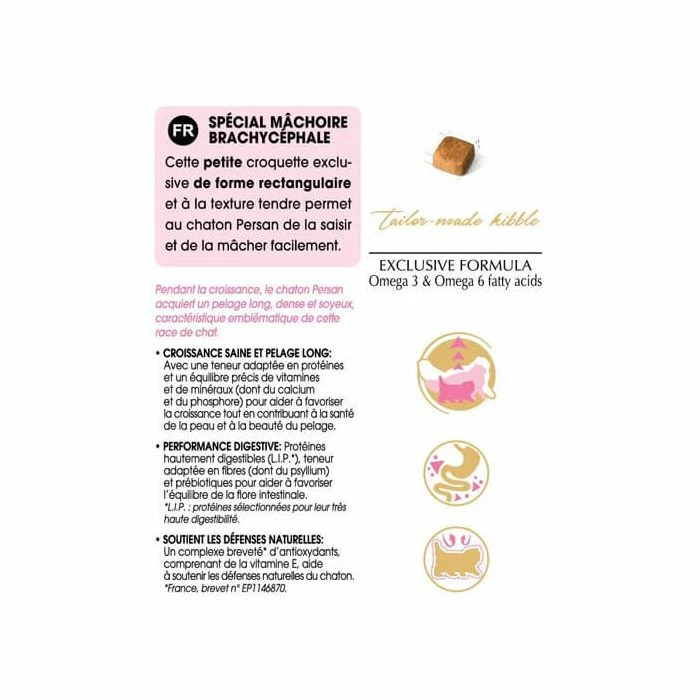 Royal Canin Breed Health Nutrition Royal Canin Persian Kitten 4 Kg 5 Royal Canin Breed Health Nutrition Royal Canin Persian Kitten 4 Kg - immagine 5