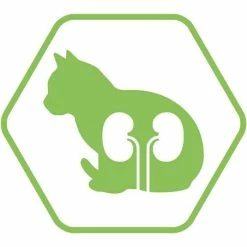 Purina Proplan Optirenal Adult Cat Sterilised Salmone 10 Kg 9 Purina Proplan Optirenal Adult Cat Sterilised Salmone 10 Kg -Alimentazione Gatto negozio purina proplan optirenal adult cat sterilised saumon 10 kg3